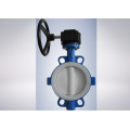 Corrosion Resisting PTFE Lined Butterfly Valve